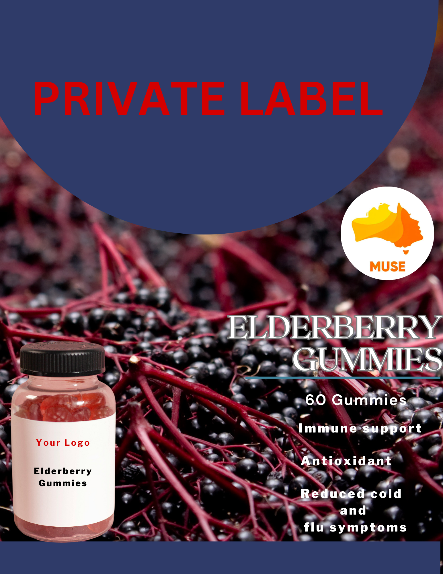 Immune Support Vitamin C D3 Zinc Elderberry Extract Gummies Supplement Wholesale Private Label