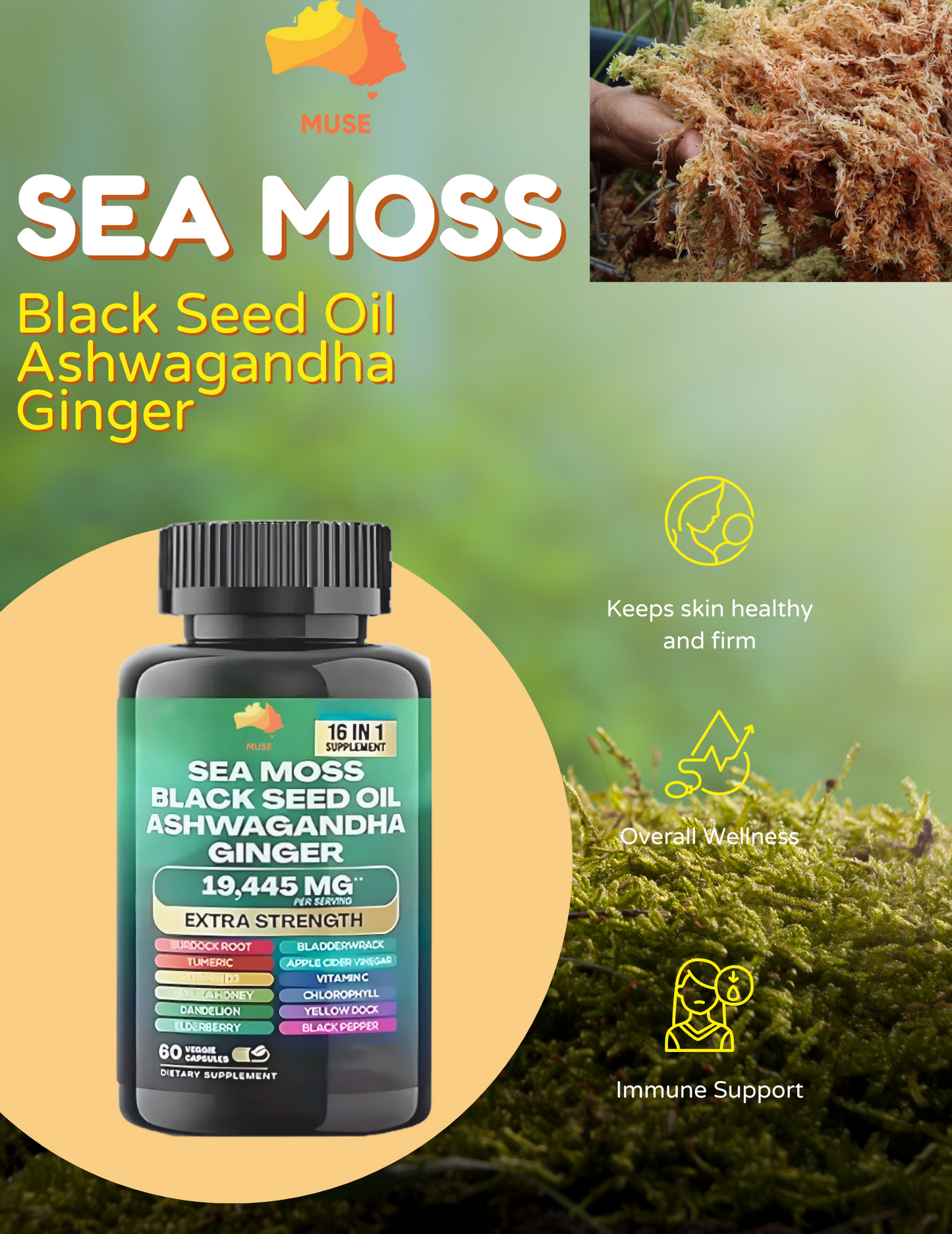 Sea Moss, Black Seed Oil, Ashwagandha, Ginger, Shilajit
