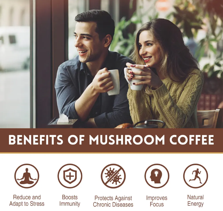 Muse Mushroom Coffee Hazelnut Flavor