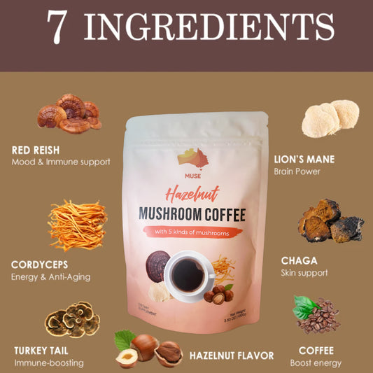 Muse Mushroom Coffee Hazelnut Flavor